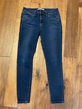 Joe’s Jeans Skinny Jeans